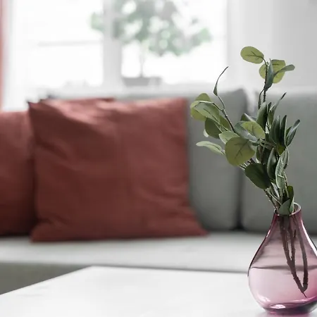 Kamienica Centrum Nr 12 公寓 什切青