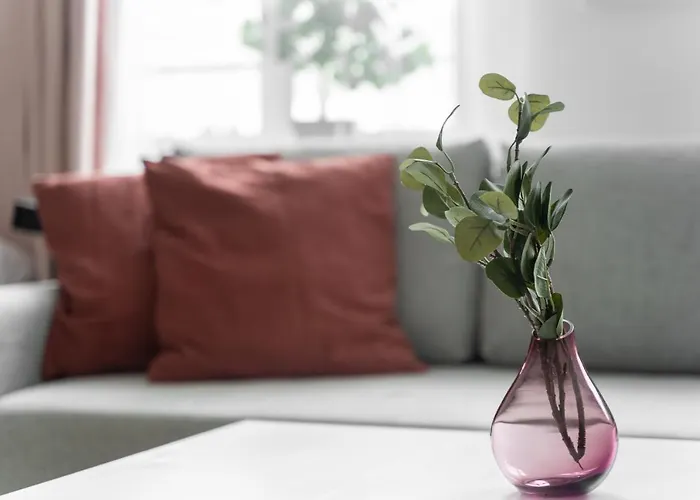 Kamienica Centrum Nr 12 Apartman Szczecin